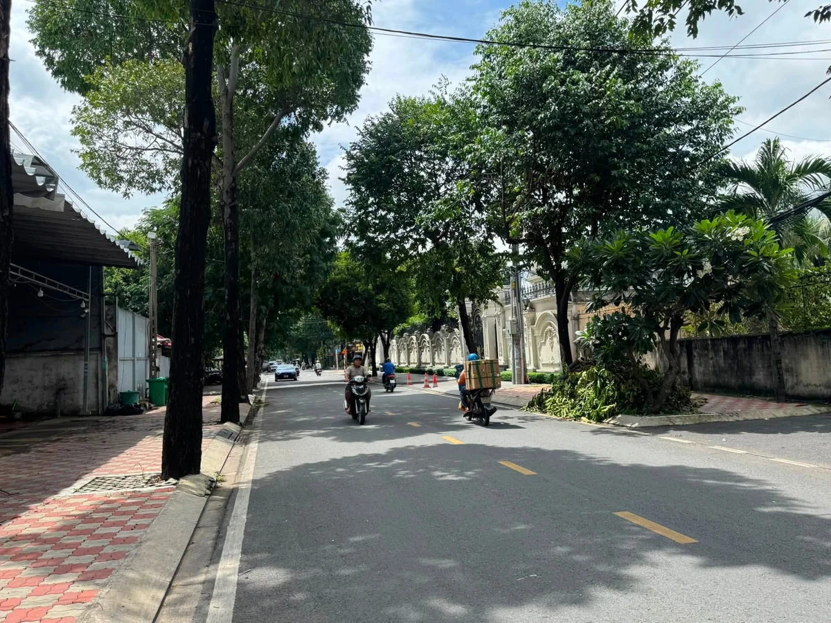 Bán biệt thự sân vườn 1611m2 đường Lê Quý Đôn, Bình Thọ, Thủ Đức - Ảnh 1