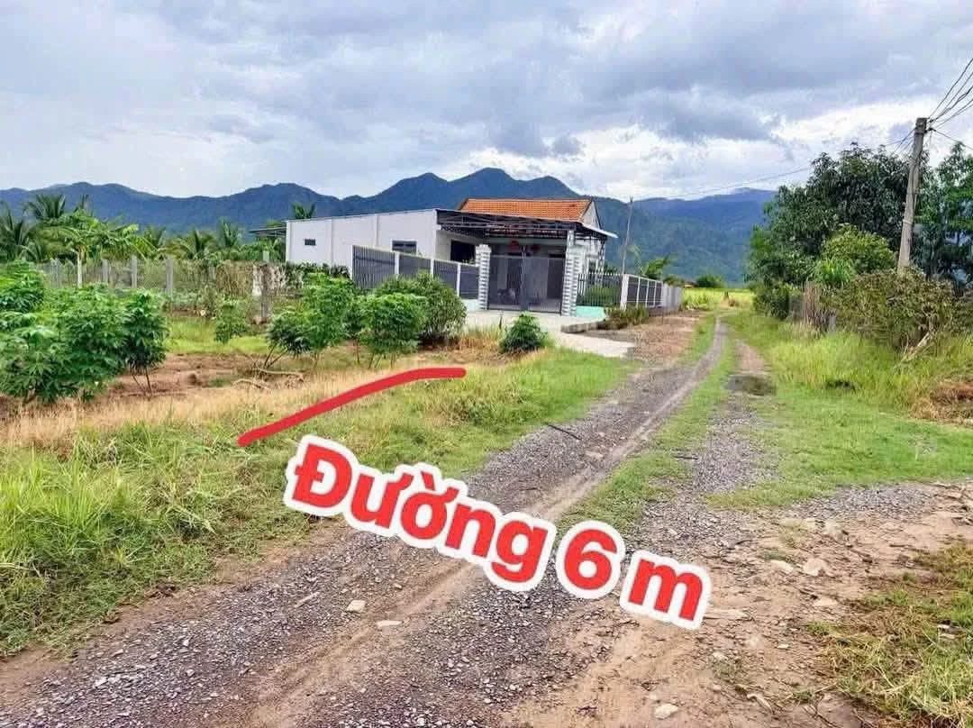 Bán đất Khánh Hòa 989m2 giá 100 triệu - Ảnh thu nhỏ 3
