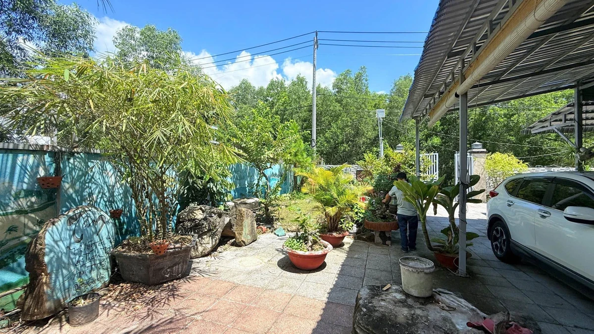 Bán nhà vườn 2250m² mặt tiền Phước Hưng, Nhà Bè - Ảnh thu nhỏ 2