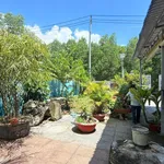 Bán nhà vườn 2250m² mặt tiền Phước Hưng, Nhà Bè - Ảnh thu nhỏ 2