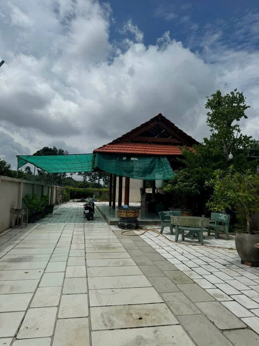 Bán đất vườn mặt tiền 493m2 Tân Hiệp, Tân Uyên 3,3 tỷ - Ảnh thu nhỏ 3