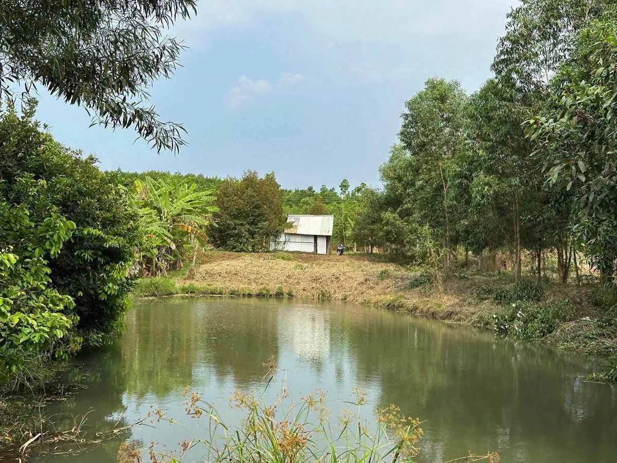Bán đất Bù Đốp Bình Phước 10.800m² với nhà tiền chế - Ảnh 1