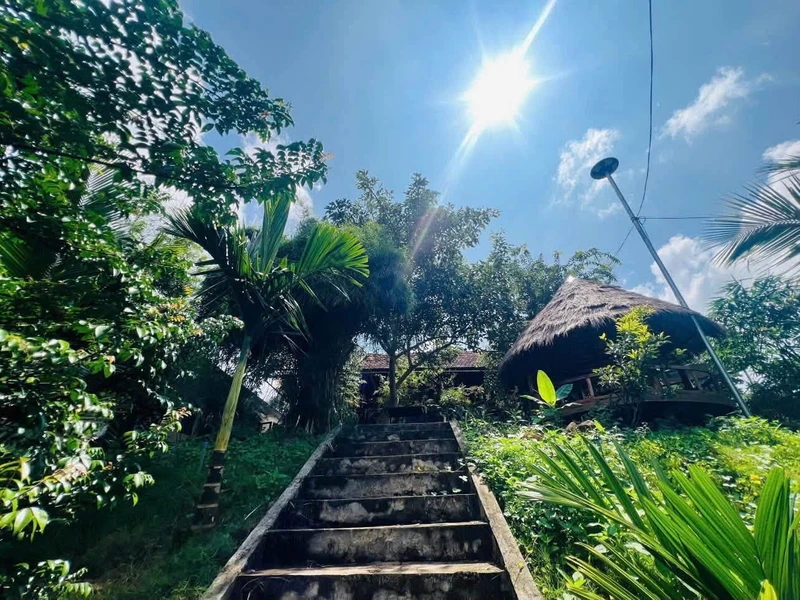 Bán nhà khai thác homestay 1.163m² ở KM12 QL26, Đắk Lắk, doanh thu 15–20tr/tháng