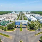 Bán lô góc 2 mặt tiền 175m² Bình Lộc, Bình Dương - Ảnh thu nhỏ 2