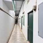 Bán dãy trọ 6 phòng Trảng Dài, 131m², 2 tỷ, SHR - Ảnh thu nhỏ 2