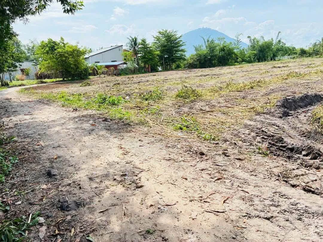 Bán đất Dương Minh Châu Tây Ninh 575m² thổ cư 50m² - Ảnh thu nhỏ 2