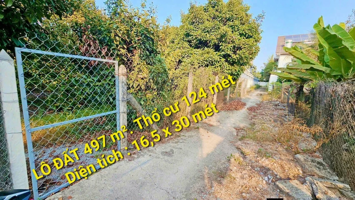Bán đất vườn Thuận An 495 m² thổ cư 124 m² 4,5 tỷ - Ảnh thu nhỏ 2
