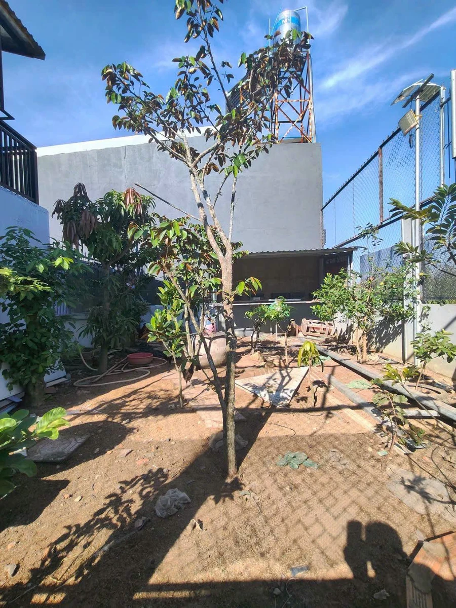 Bán nhà vườn 360m² Xã Quảng Tiến, Trảng Bom 4,2 tỷ - Ảnh thu nhỏ 4