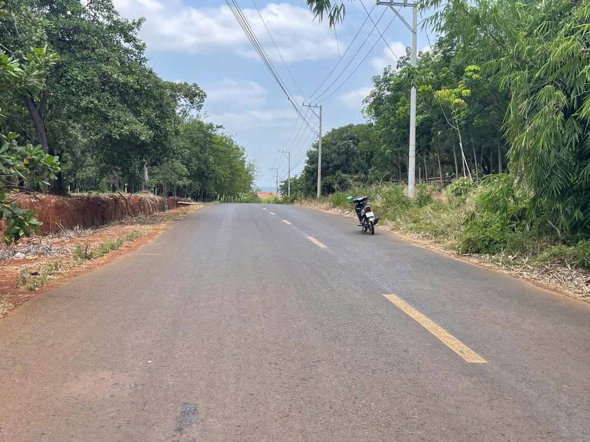 Bán đất mặt tiền Cây Số 9 Hóc Môn 3 sào - Ảnh thu nhỏ 3