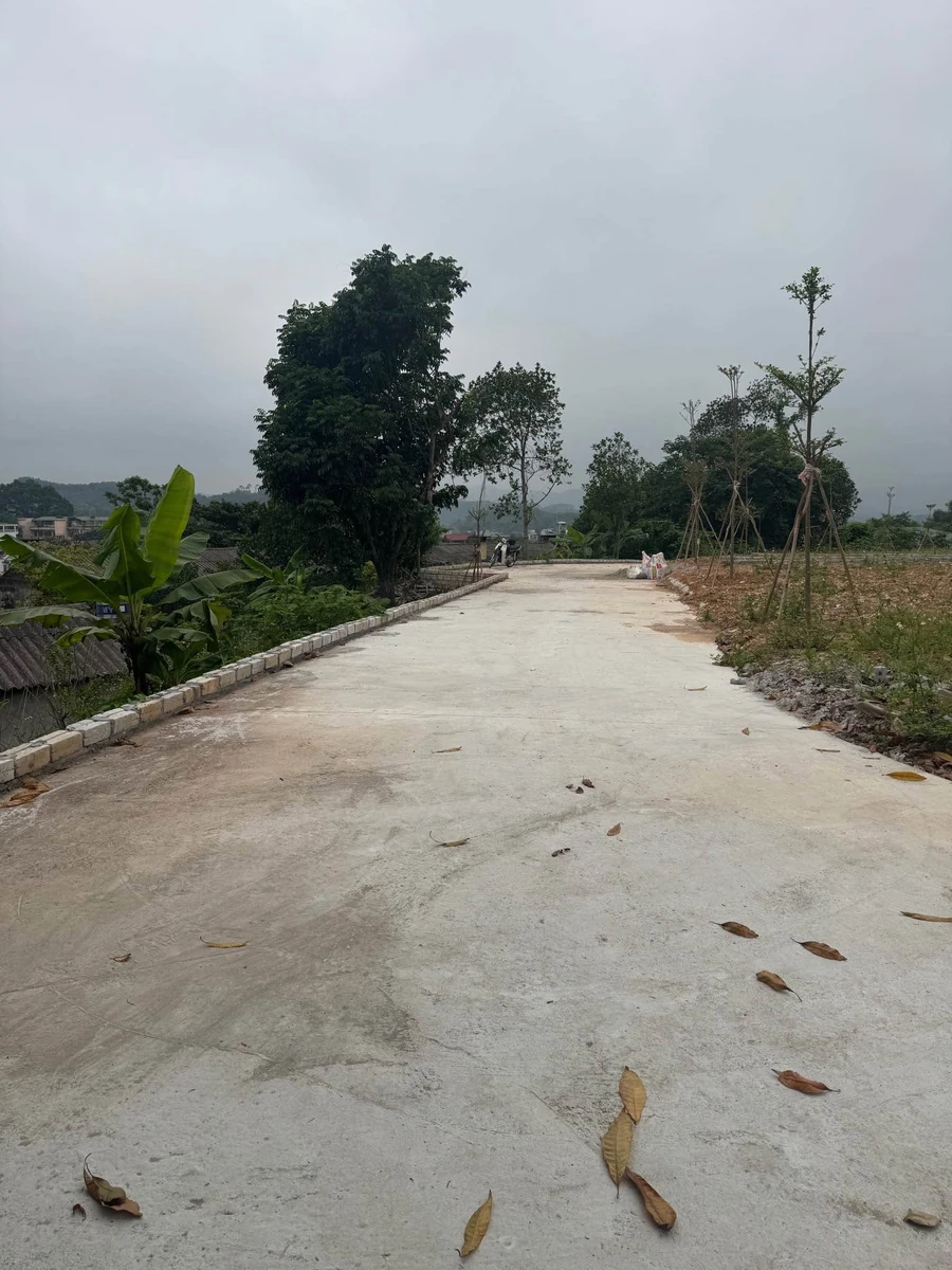Bán lô đất 88m² mặt tiền ô tô Yên Bái Nhà Bè - Ảnh thu nhỏ 3