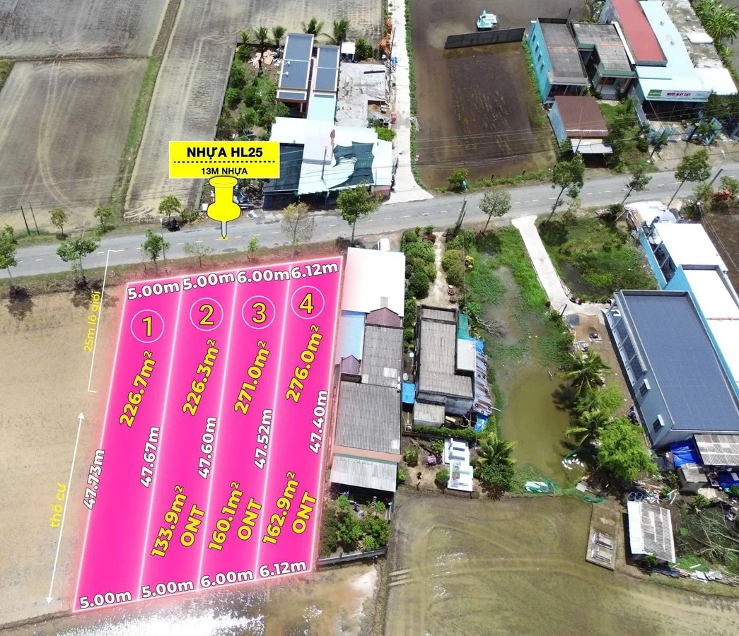 Bán đất thổ cư 226m² Tân Trụ, Tây Ninh, 1,3 tỷ - Ảnh thu nhỏ 2
