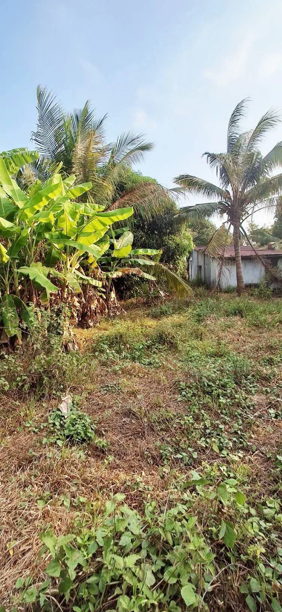 Bán đất 200m² kp Đại Thiện, Bình Thuận - Ảnh thu nhỏ 2