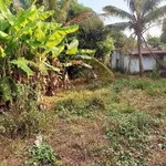 Bán đất 200m² kp Đại Thiện, Bình Thuận - Ảnh thu nhỏ 2