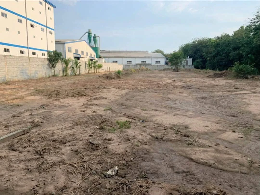 Bán lô đất vườn 4000m2 (1200m2 thổ cư) An Điền, Bình Chánh 22 tỷ - Ảnh thu nhỏ 2