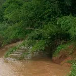 Bán đất Sầu Thái 4.2ha Đồng Tâm Bình Phước 6.7 tỷ - Ảnh thu nhỏ 2