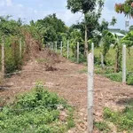 Bán đất 360m² Cầy Xiêng Xã Châu Thành Tây Ninh 210 triệu - Ảnh thu nhỏ 2