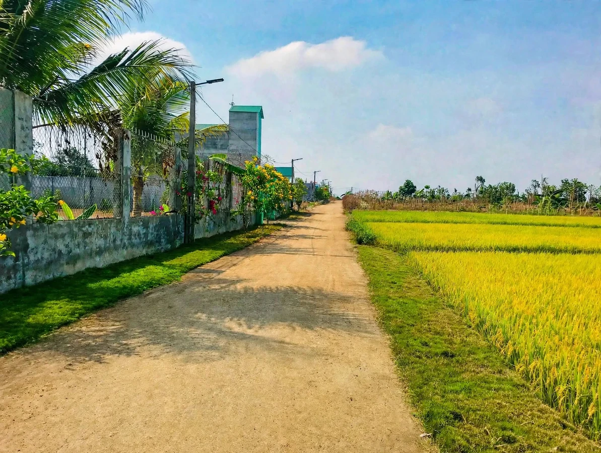 Bán đất nền 1000m² view cánh đồng tại Cư M'gar 699 triệu - Ảnh 1