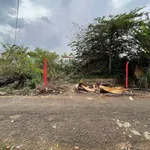 Bán đất mặt tiền Lê Thành Phương, Pleiku, Gia Lai, 184m² - Ảnh thu nhỏ 1