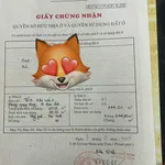 Bán đất đường ô tô Tô Hiến Thành 277m2, Quy Nhơn - Ảnh thu nhỏ 1