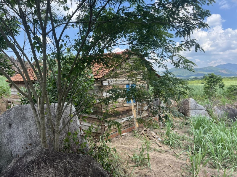 Bán 1 hecta đất tại huyện M'Đrăk, tỉnh Đắk Lắk