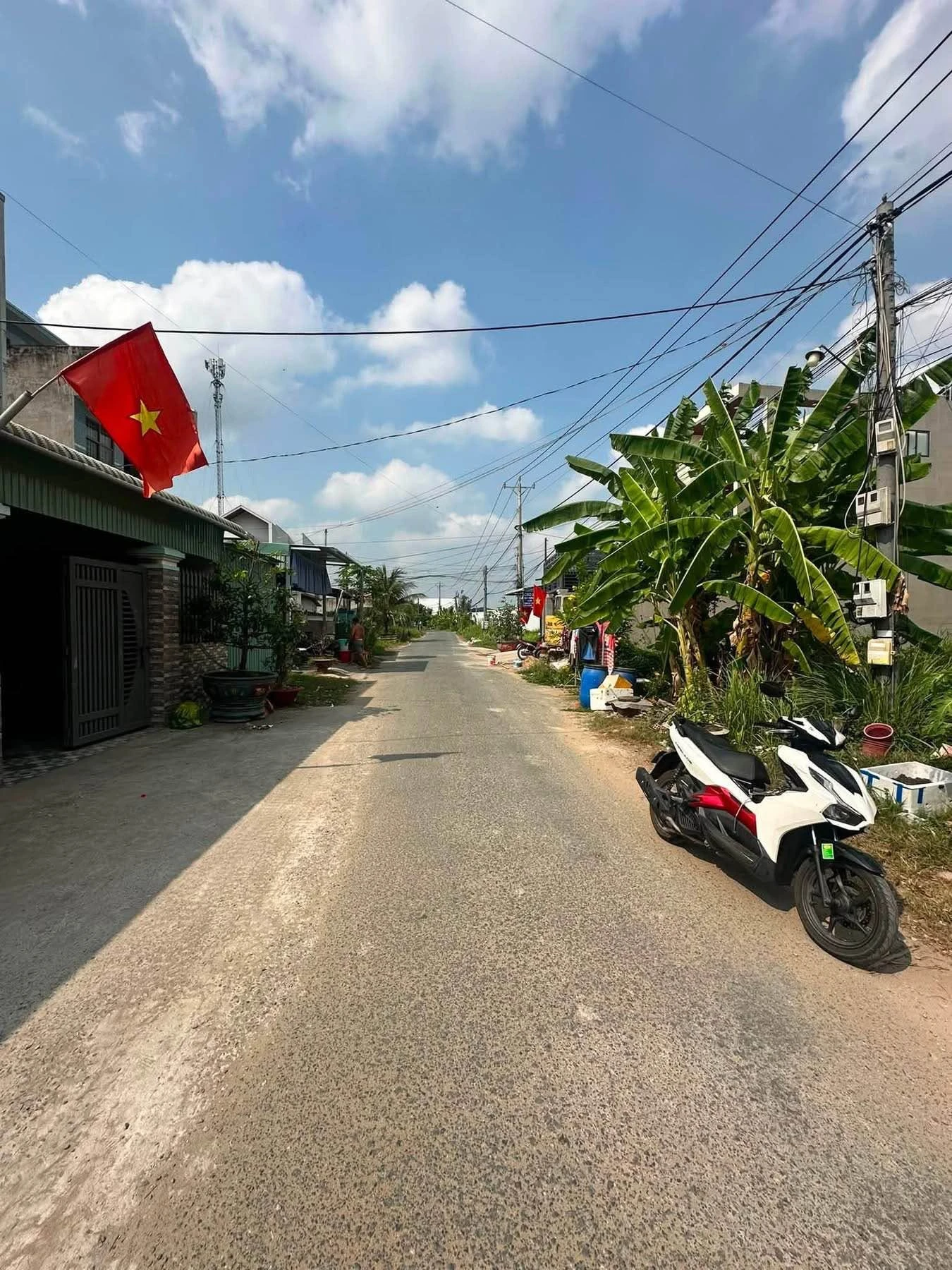 Bán đất thổ 155m² Phường 5, Tân An, An Giang - Ảnh 1