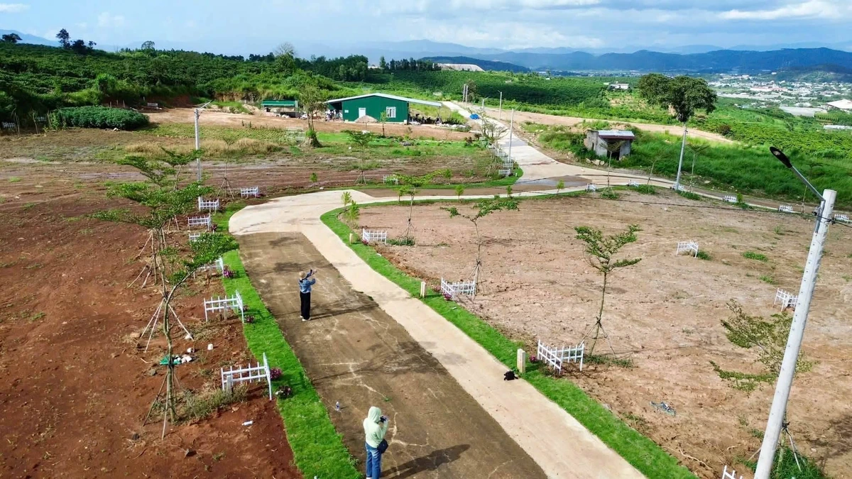 Bán đất 1.000m² giá 550 triệu, sổ riêng tại Đinh Văn, Lâm Hà, Lâm Đồng - Ảnh 1