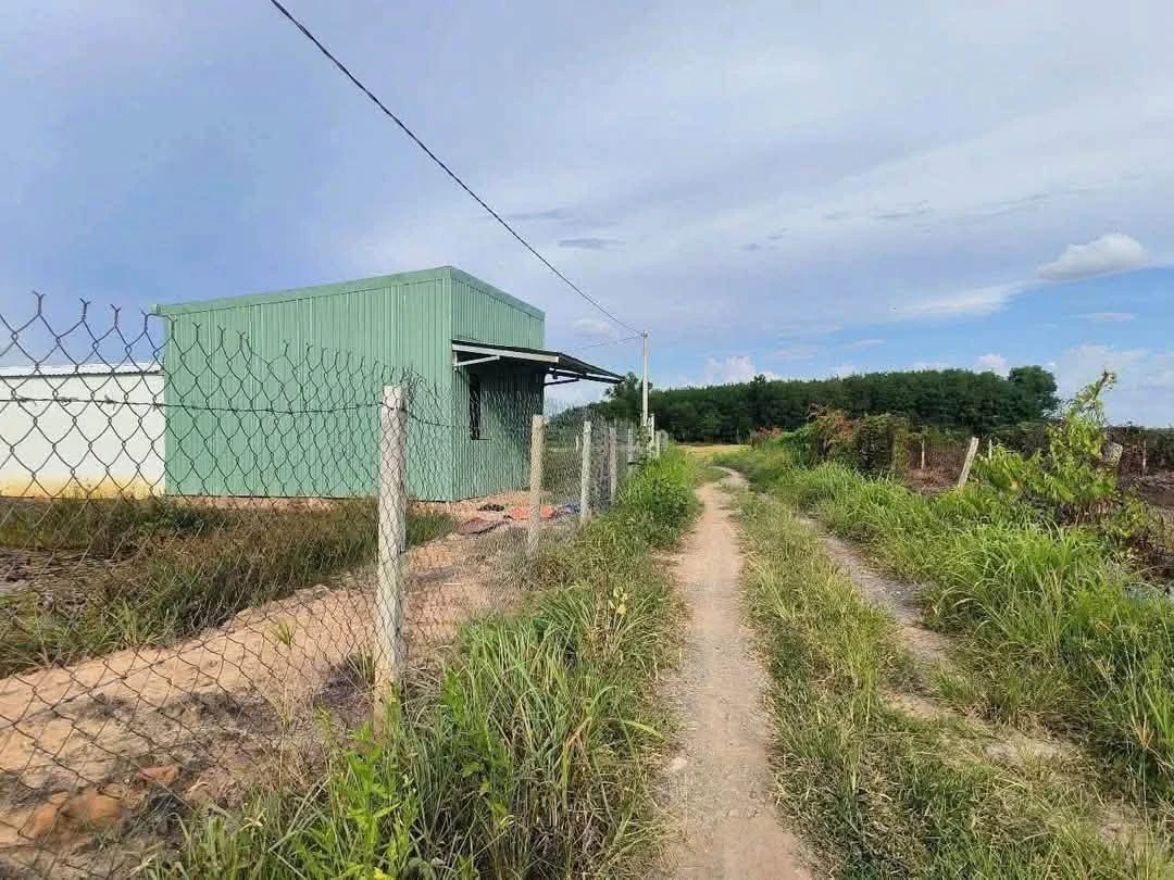 Bán đất vườn 1.156m2 đường Thanh Bình, Phường Phú An giá 2 tỷ - Ảnh thu nhỏ 2