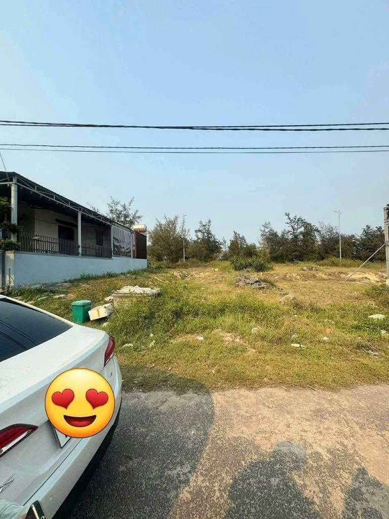 Bán lô đất biệt thự mặt tiền Nguyễn Hữu Hào 195m², Bình Chánh - Ảnh thu nhỏ 2
