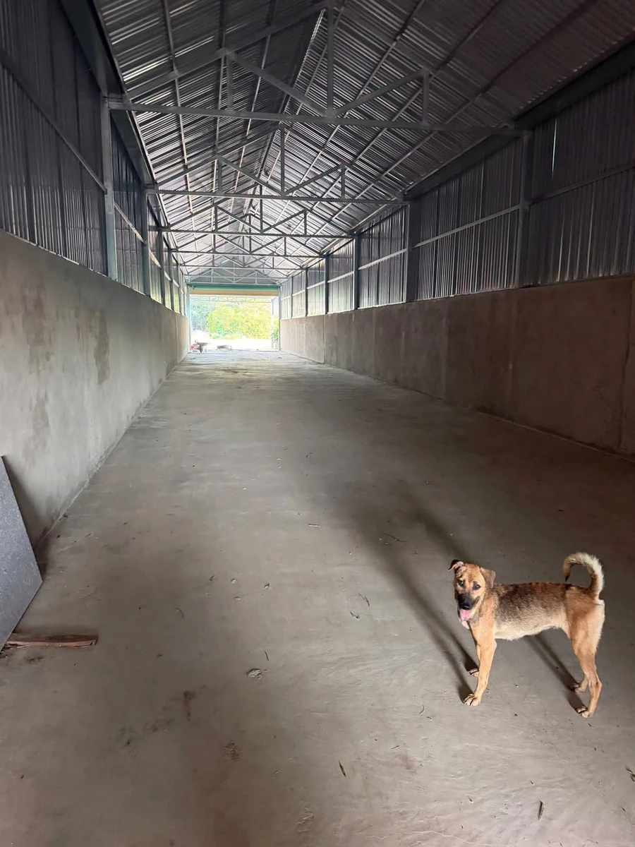 Bán lô đất 600m² Tân Thành Đồng Xoài Bình Phước 1.6 tỷ - Ảnh 1