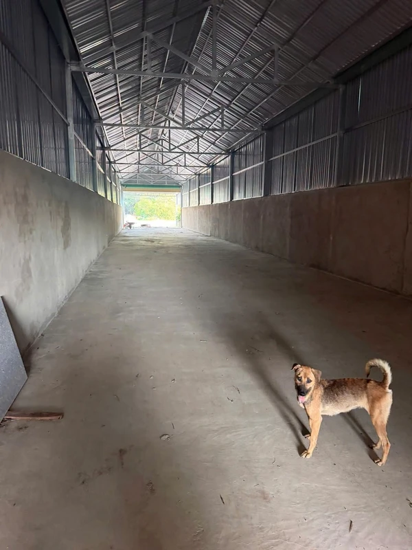 Bán lô đất 600m² Tân Thành Đồng Xoài Bình Phước 1.6 tỷ