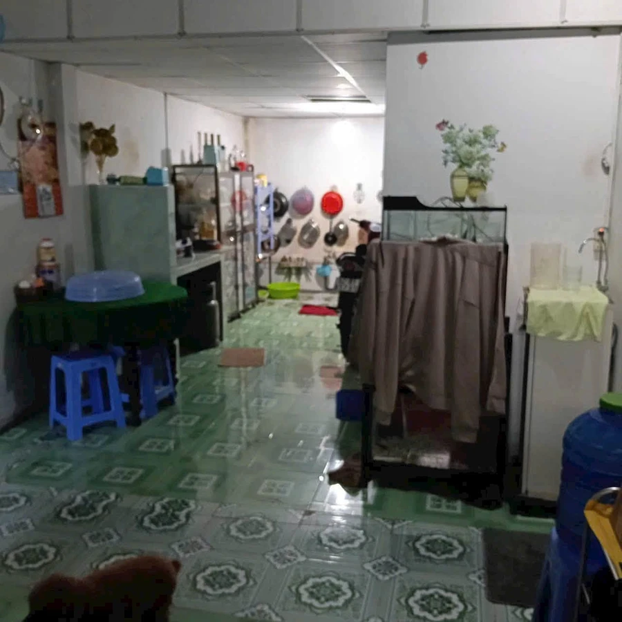 Bán nhà vườn cấp 4 168m2, 4 phòng ngủ tại xã Thạnh Đức, Bến Lức, Long An - Ảnh thu nhỏ 5