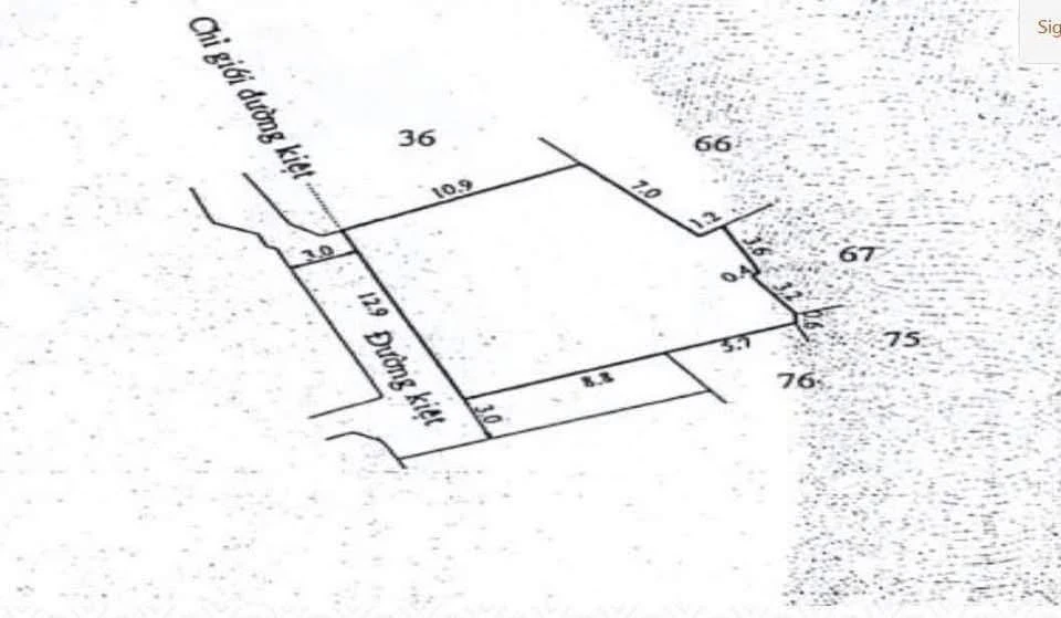 Bán nhà cấp 4 khổ đất 177m² full thổ cư, kiệt 65C Trần Phú, Phường Thuận Hoá, Huế - Ảnh thu nhỏ 2