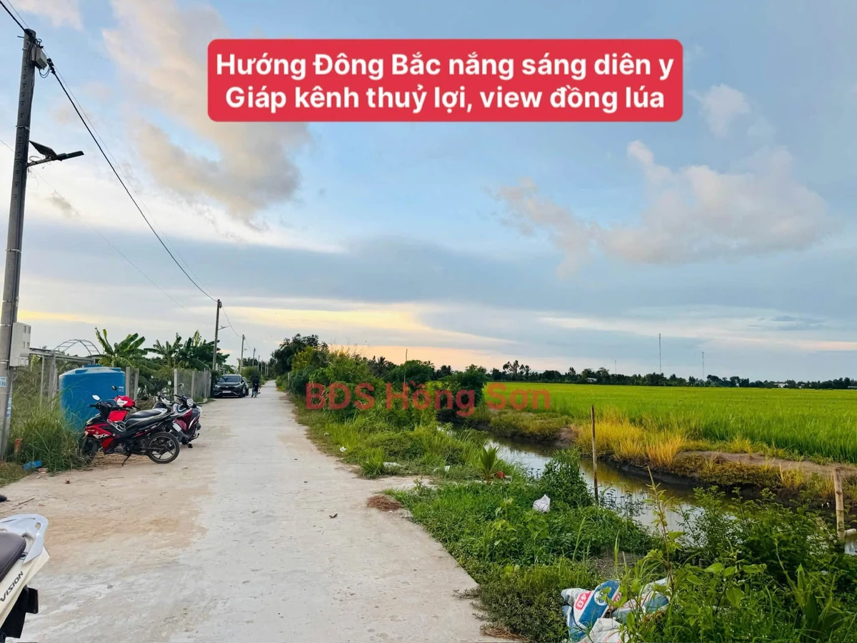 Bán đất vườn 2006m² Thạnh Lộc An Giang giá 1 tỷ 390 triệu - Ảnh thu nhỏ 2