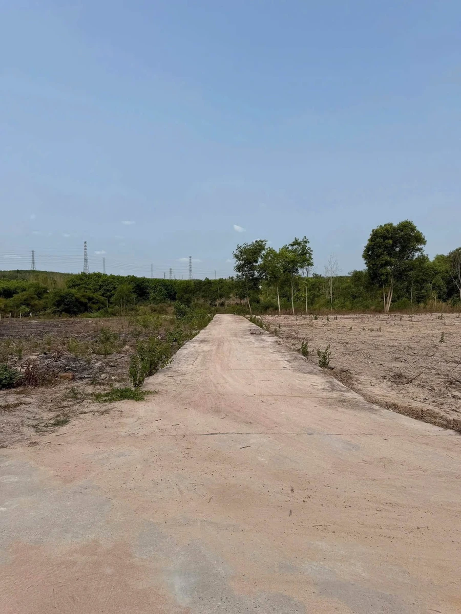 Bán đất 279m2 Nhánh DH01 Phường Minh Thành 330 triệu - Ảnh 1