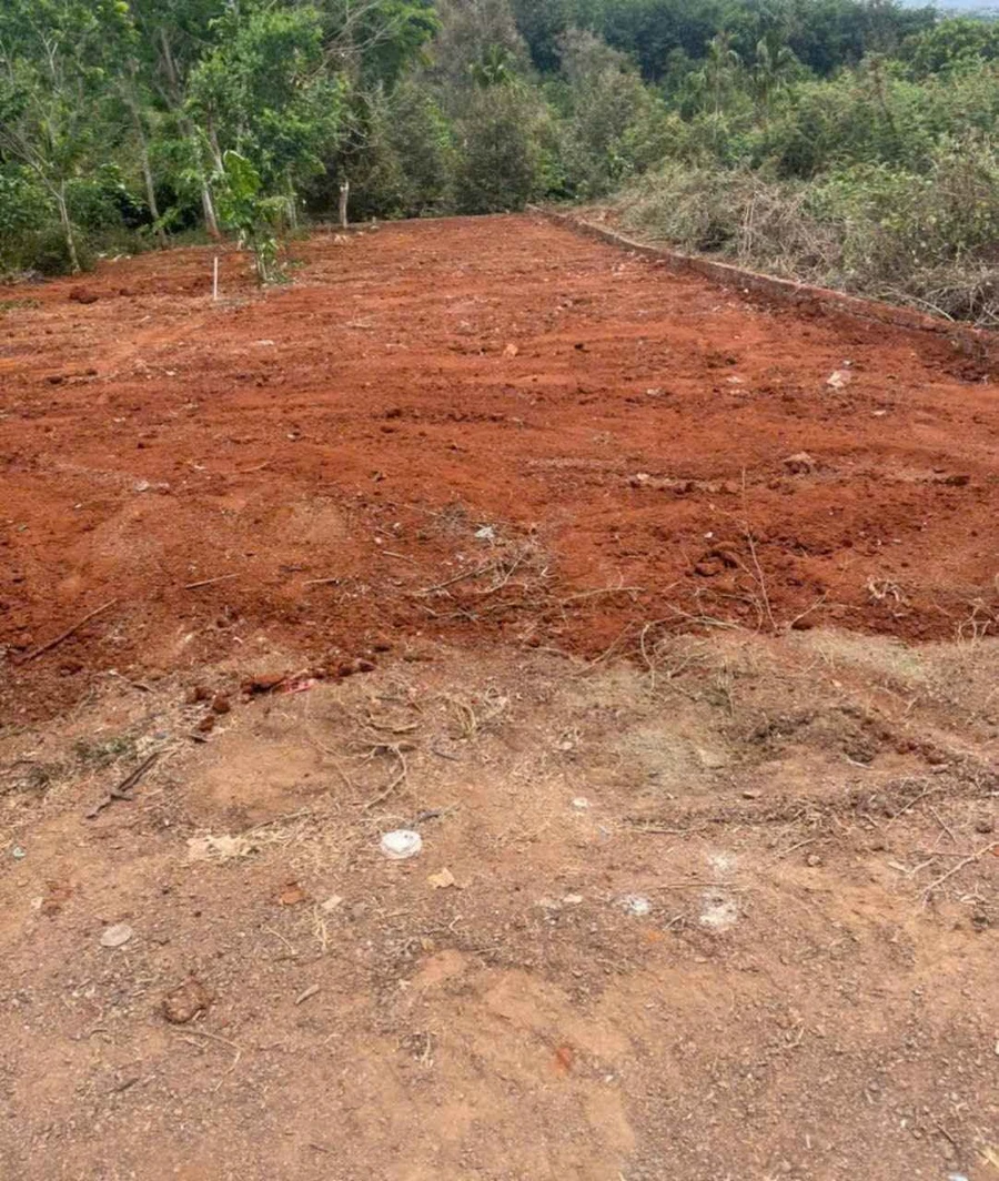 Bán đất 155m² (5x31m) Phường Bình Mỹ Tây, giá 920 triệu - Ảnh thu nhỏ 2