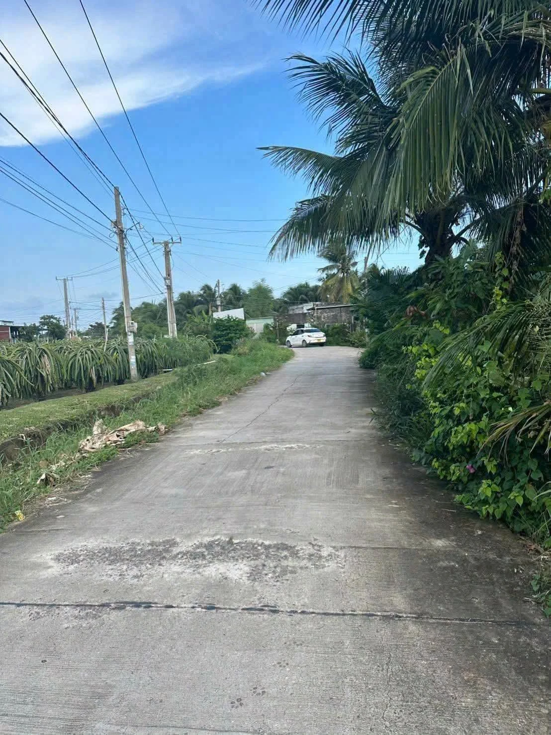 Bán đất 210m2 có nhà cấp 4 Hàm Mỹ Phan Thiết - Ảnh 1