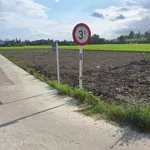 Bán đất lô góc 2 mặt tiền Tỉnh lộ 833, gần trường cấp 2 Nhựt Tân, từ 650 triệu - Ảnh thu nhỏ 4