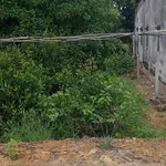Bán nền đất mặt tiền Đan Kênh 120m² Tây Ninh 750 triệu - Ảnh thu nhỏ 3