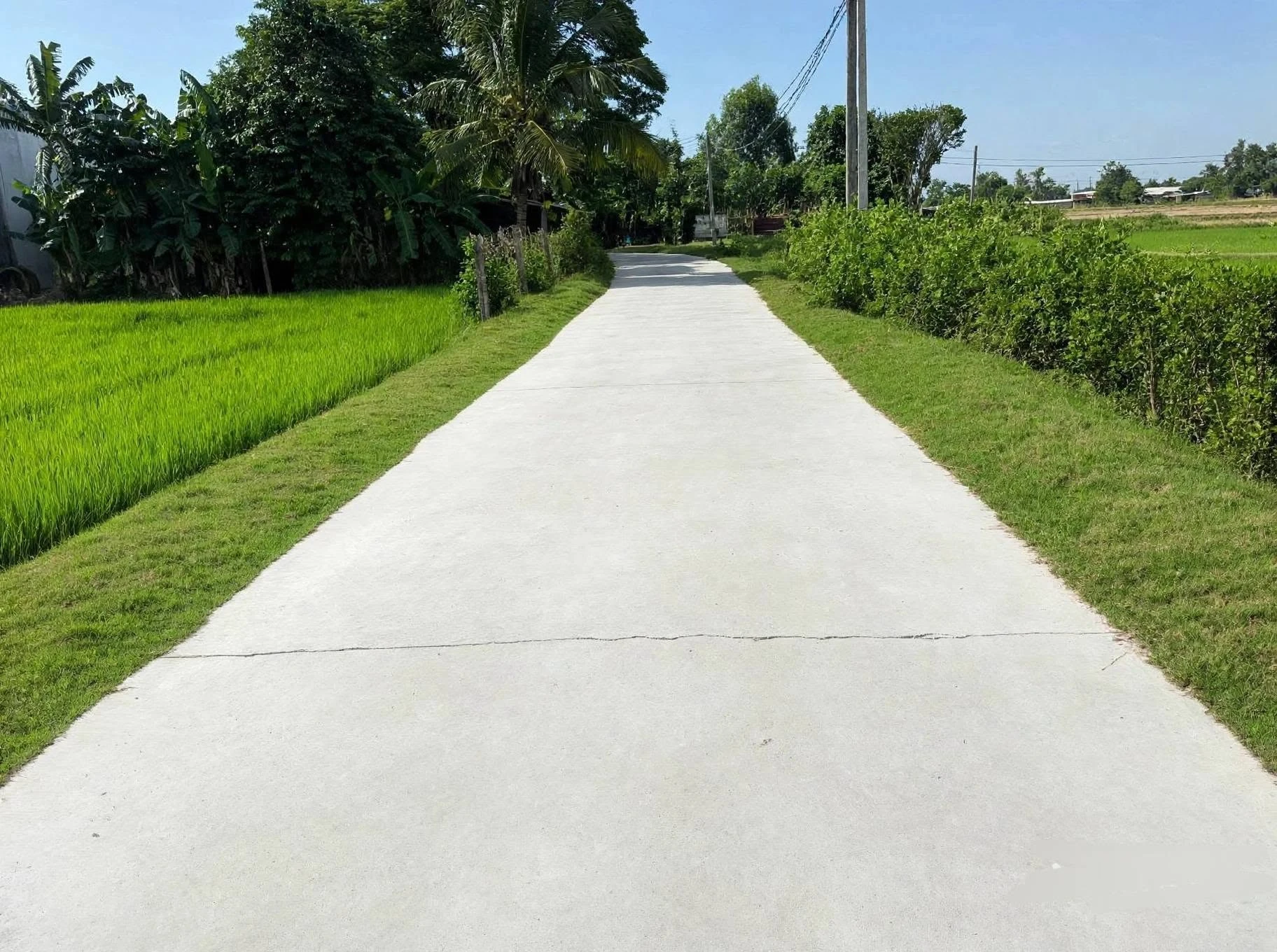 Bán đất thổ cư 130m2 gò cao ráo ở Mỹ Hạnh Nam 890 triệu - Ảnh 1