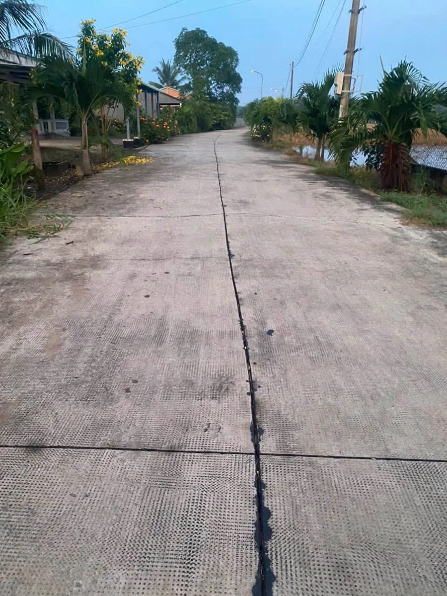 Bán đất lúa 1.500m² có 300m² thổ cư gần cổng chào cầu Trắng, đường Cao Thị Mai - Ảnh thu nhỏ 3