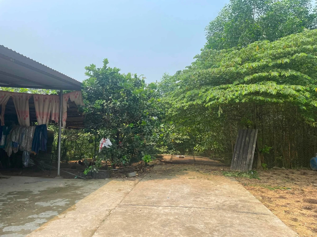 Bán đất 260m2 mặt tiền biệt thự Bình Thành Huế 7 tỷ - Ảnh thu nhỏ 4