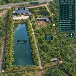 Bán trang trại 3700m2 tại Nam Đàn, Nghệ An, 7 tỷ - Ảnh thu nhỏ 1