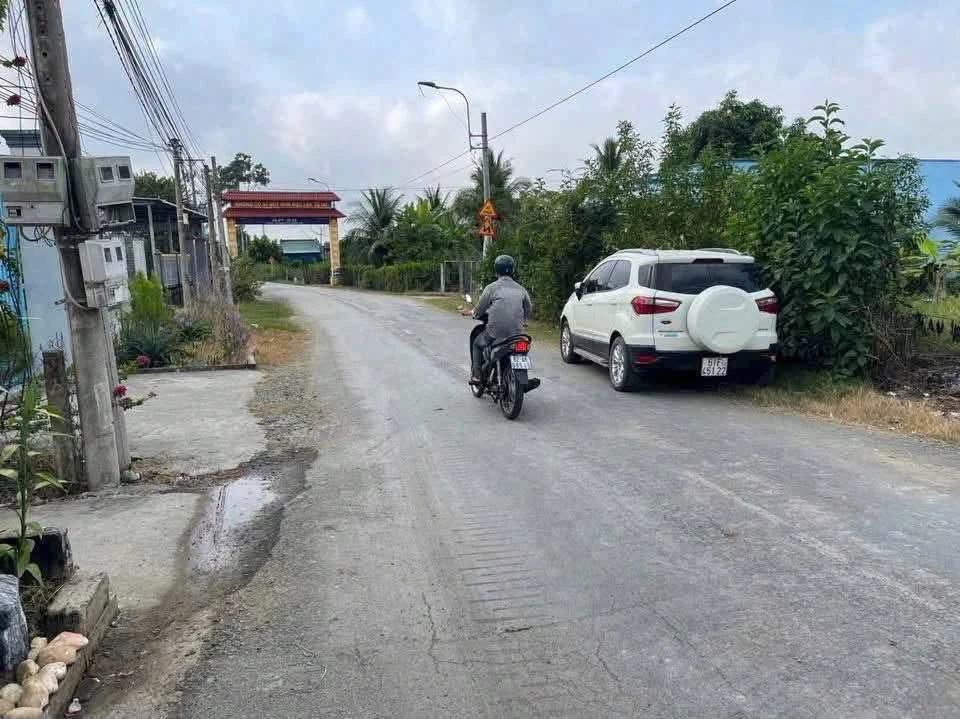 Bán 2 lô đất thổ cư 95m² Phước Tuy, Cần Dước - Ảnh thu nhỏ 2