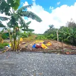 Bán 5000m² đất nghỉ dưỡng Cần Thơ 3.2 tỷ - Ảnh thu nhỏ 5