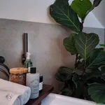 Bán Villa Đà Lạt 200m² 5 phòng ngủ view triệu đô Khe Sanh - Ảnh thu nhỏ 3