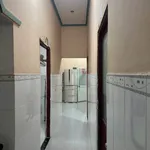 Bán nhà mái thái và 50 phòng trọ 1036m2, đường Thuận Giao 20, Thuận An, Bình Dương - Ảnh thu nhỏ 2