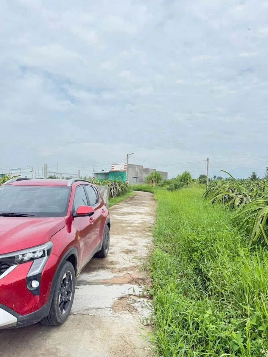 Bán đất cây trồng 850m² Hàm Liêm gần chợ Tân Nông - Ảnh thu nhỏ 3