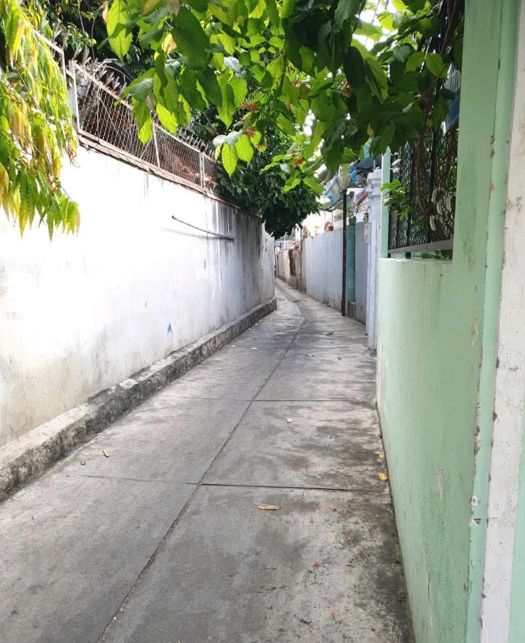 Bán nhà cấp 4 hẻm đường Ba Cu, Phường 4, Vũng Tàu, 67m2, giá 4,2 tỷ - Ảnh 1