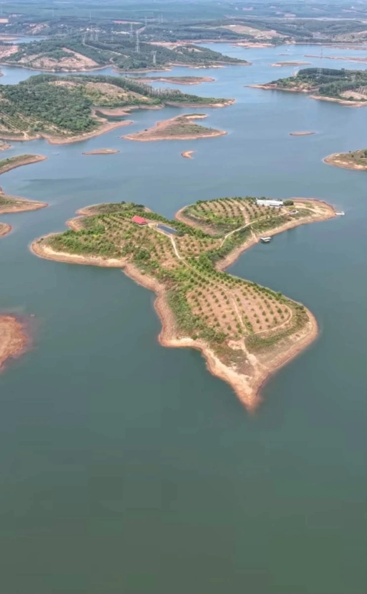 Bán đảo đất vườn 3,5ha giữa lòng hồ Thác Mơ, Nghĩa Trung, Bình Phước, giá 14 tỷ - Ảnh thu nhỏ 2