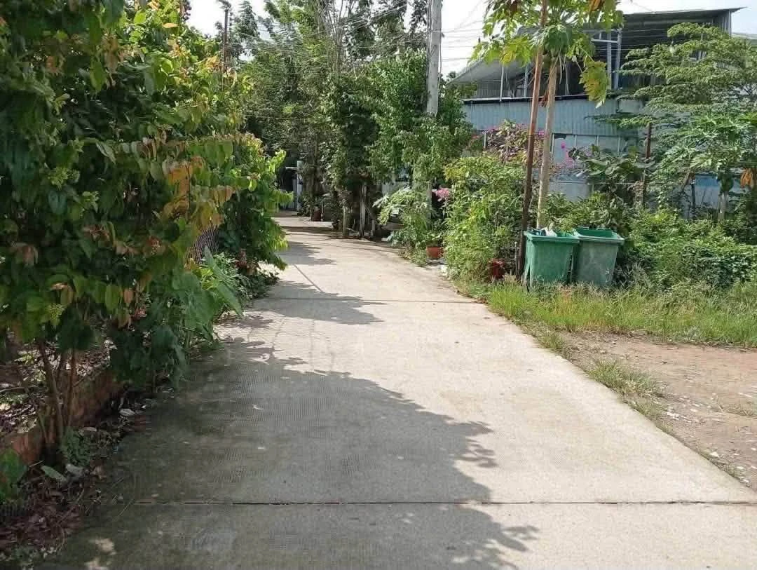 Bán lô đất xây nhà ở Phú An 1 tỷ 290 - Ảnh thu nhỏ 2